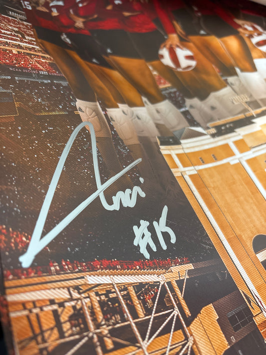 Andi Jackson #15 Nebraska Cornhusker Signed Volleyball Day Poster