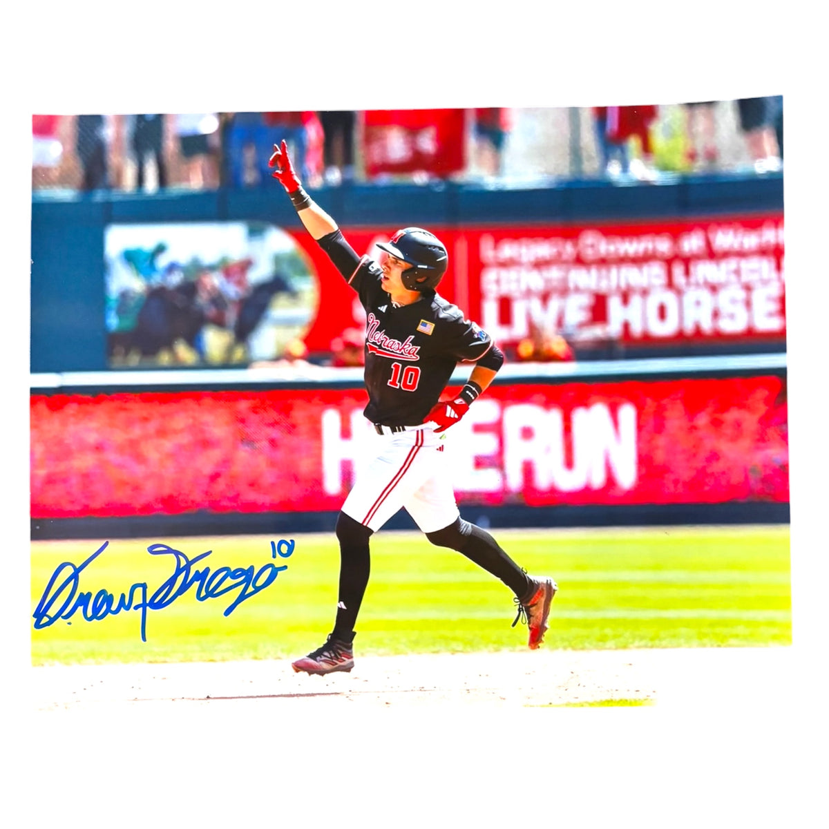 Nebraska Cornhuskers Drew Grego #10 signed Husker 8x10