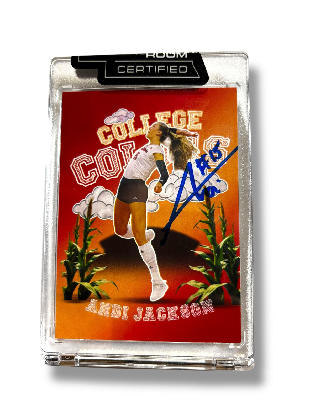 Andi Jackson #15 Nebraska Cornhusker Volleyball Signed Husker Card